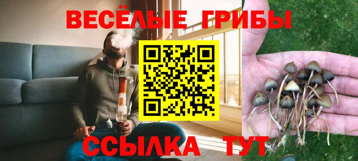 Рязань  купить   Вход с VPN  Галлюциногенные грибы мухоморы 